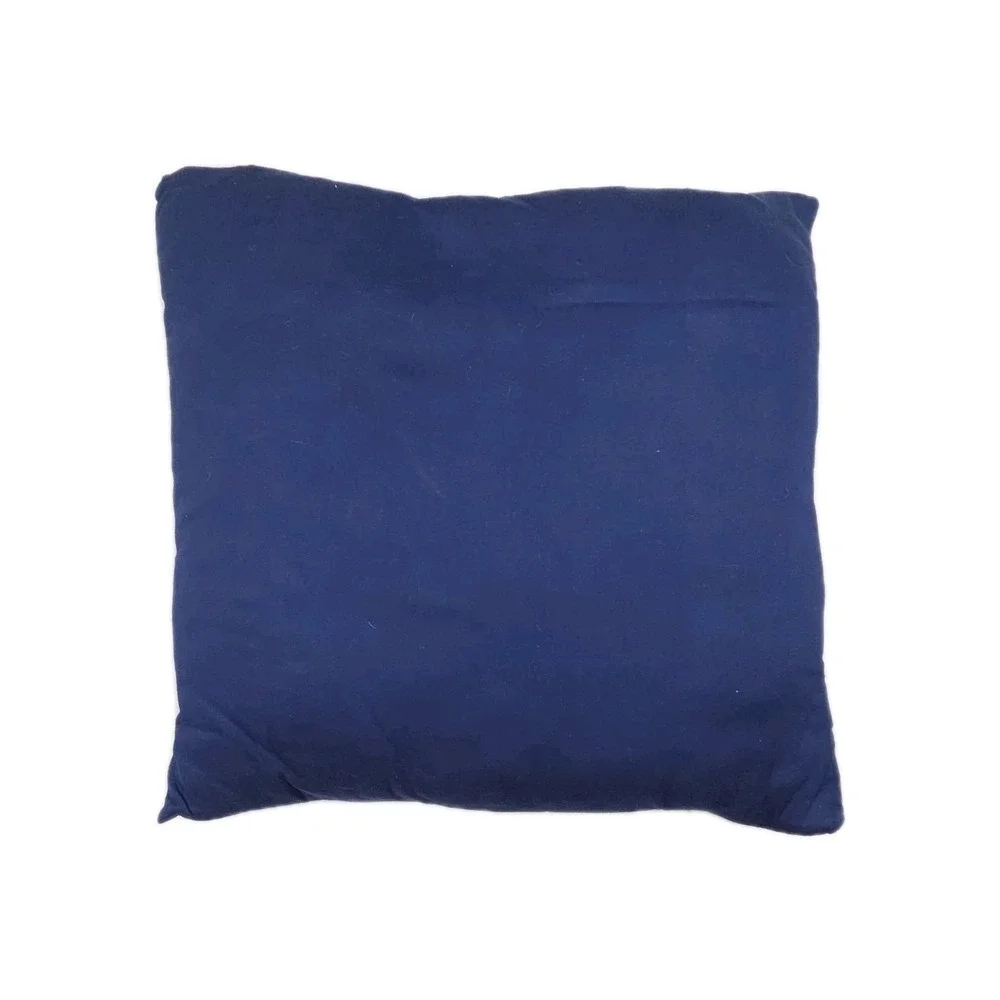 Pottery Barn‎ Silk Blend Paisley Bright 2016 Pillow Covers 18